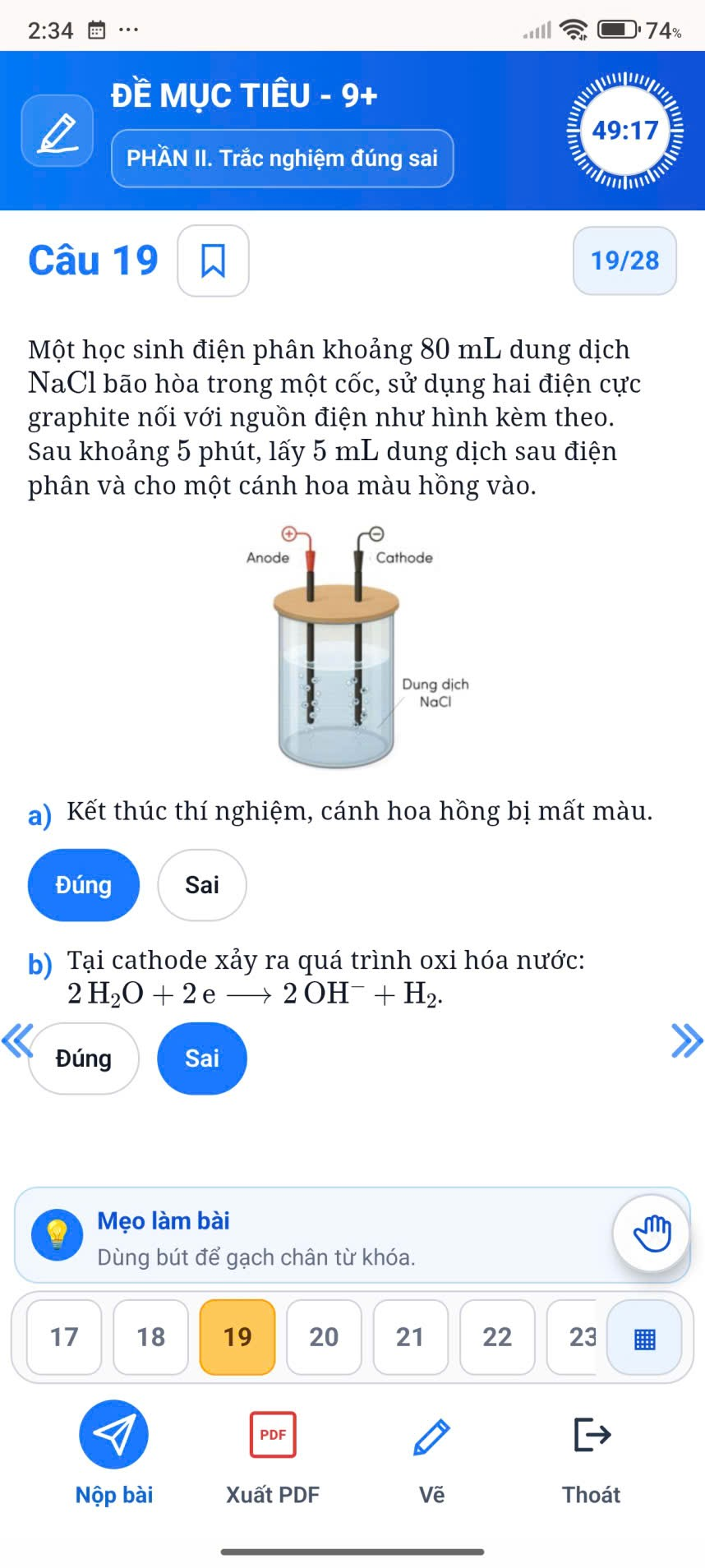 Câu hỏi trắc nghiệm đúng sai